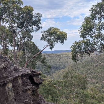 Myall Track Lookout, Mount Colah