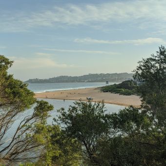 Wamberal Reserve View