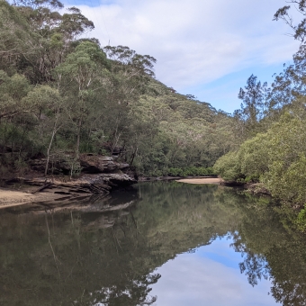 Cowan Creek at the meeting of the Sphinx and Warrimoo Tracks, with gum trees on the left and right and a slightly overcast sky, all reflected in the still creek towards bottom of image.