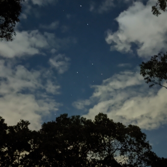 Southern Cross From Bobbin Head, with the silhouette of trees on left, right, and bottom of image, with patchy cloud surrounding the centre which has dot points of light which are the Southern Cross constellation
