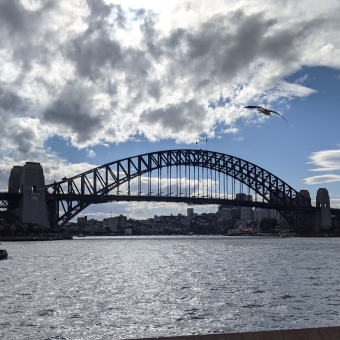 Sydney Harbour Bridge; from Sydney Opera House, with streaked clouds in background and a seagull in relatively close sky