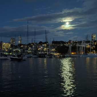 Moon Over Rushcutters' Bay