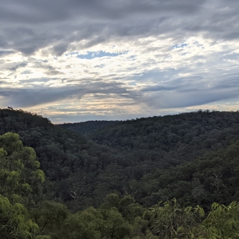 Cloudy Lookout; darkened trees extending into valley in lower half of image, and seemingly randomised patterns of clouds in the upper half