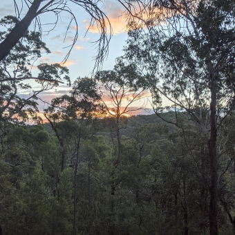 Sunset From The Gibberagong Track, with sparse trees in the foreground, low-rise valley in the background; the setting sun just behind the opposing hill and orange clouds symetrically mirrored by a tree in the foreground.
