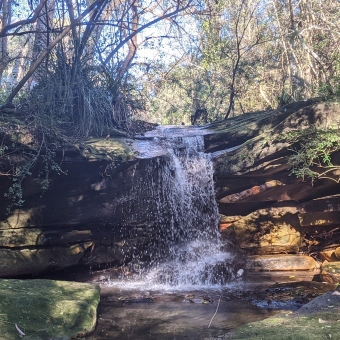 Zig Zag Creek Waterfall, with waterfall in the bottom centre, pool of water surrounded by low rock at the bottom, and small trees and shrubs to the left and right as well as along the ridge line, which is about three metres high.