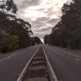 The Road From Ku-ring-gai Chase National Park; front and centre straight road divided by raised median off into distance bordered by dense trees and clouds chequered gold and grey.