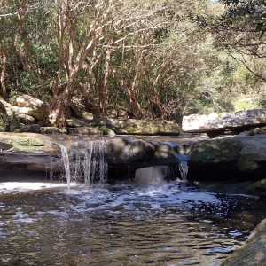 Berowra Creek near Fishponds: lower foreground rippled running water from mid-photo small waterfalls over rocks, upper photo has cascading light through dense tree-tops;