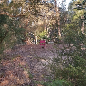 Contemplation Chair: centre frame has pink metallic light outdoor chair in clearing facing away into bush, low shrubs framing the field of view into clearing;