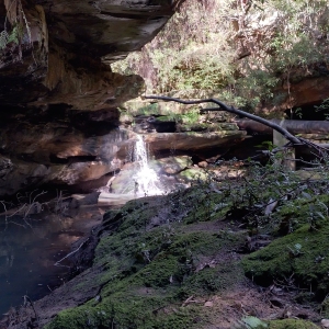 End-of-Track Waterfall 1: waterfall at centre picture, rocky cliffs extending to fill left side, river bank covered in moss, twigs and dried leaves extending to bottom right, sunny shrubbery extending to top right;
