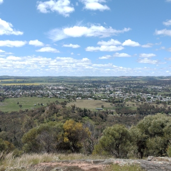 Cootamundra From Atop Pioneer Park