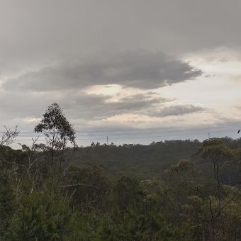 Sun Through Storm Clouds, fron Benowie Walking Track, Westleigh, with close trees bordering left and right disappearning into the valley in the centre and sun centre-right silhouetting dark grey clouds filling the rest of the sky