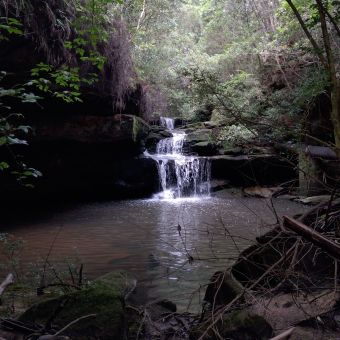 Waitara Creek Waterfall, Hornsby/Thornleigh, with a cascading waterfall two-storeys in height in centre frame leading into a pool directly in front, with a moss-covered cliff on the left, bushes turning into trees on the right, and natural debris from the recent rains trapped between the pool and where I stood for the photo