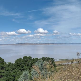 Lake George, Weereewa Lookout, with dense shrubs in front going down the slope to the still-as-glass lake which expands for a great distance until almost the horizon on which otherwise large hills slowly raise up into obscurity which are dotted with almost imperceptable air turbines