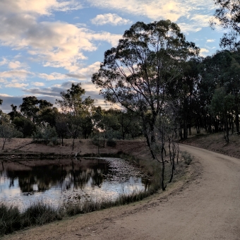 Path Around Water Catchment, Mulligan's Flat Reserve, with a dirt road starting front and centre and heading around the right of a lake two stone's throws across, with low shrubs dotting the surrounds of the lake and larger gum trees on the outside of the dirt road, with lightly golden clouds dotting an otherwise blue sky