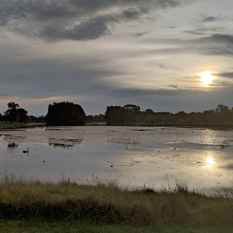 A Muddied Reflection, with low grass in the immediate foreground quickly leading to flat water which is patched with moss or something similar, with a reflection of the opposite coastline as well as clouds and yellowing sun which is only visible in the sections of clear water