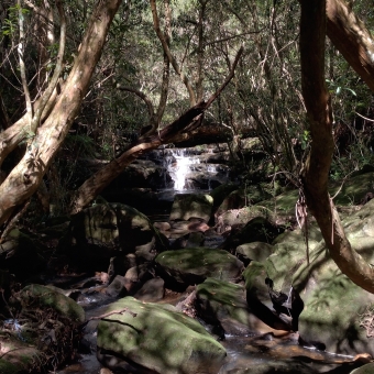 Waterfall in Zig Zag Creek, Pennant Hills, with the waterfall illuminated by the sun in the centre, framed by shadowy rocks and trees with mottled light getting through, with two forked trees at the front framing the waterfall rather prefectly