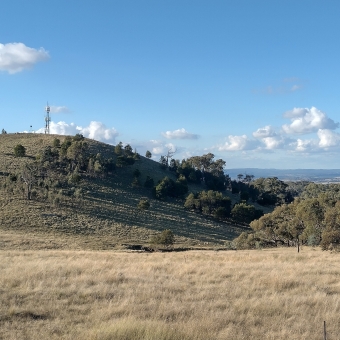 Oak Hill from Little Mulligan's, Bonner, with wheat-coloured grass covering a sloping hill from left to right which is dotted with trees at the top becoming more dense at the bottom, with blue-hued low mountains into the distance on the right, with an electrical tower at the top of the close hill, with very blue sky dotted sparsely with white fluffy clouds