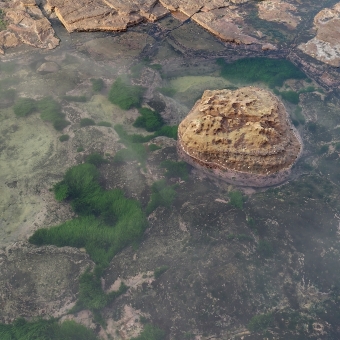 A Satellite View of Rockpools, Turimetta Head, Warriewood, with very clear and still water sutting over an expansive rockface, with and island of rock jutting up near centre frame as a miniature island, with more exposed rock plains bordering the top of the frame, with fine green seaweeds, turquoise mosses, and navy blue mosses covering the surface under the water, with the general pattern of theese underwater plants becoming darker from left to right