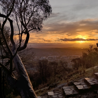 The Sunset Sits With The Old Gum Tree, with a gum tree on the left gilded by the sunset on its right side which covers Caberra Valley below, with steps extending from behind the tree up to the right, with a brilliant orange sun shining from behind a streaked cloud and colouring half the visible sky including the clouds as though its on fire