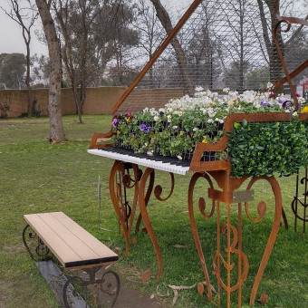 The Floral Piano, Floriade, with a metalworked grand piano facing the left and at the front on the right of the picture, with green vines filling the mody of the piano, with flowers on the top side of the body which are mainy white but also soe purple and pink and yellow too, with the background containing five gum tree trunks then a wooden fence then some distant gum trees then grey and raining clouds