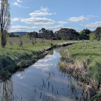 Ginninderra Creek near Crinigan's Cottage, Amaroo, with a flat and wide creek in the bottom centre which reflects the blue sky above, with dense grasses sprawling away from the centre, with green trees lining the edges of the frame, with a barely discernible mountain in the distance