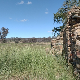 Inglewood Homestead Ruins, with the picture seemingly divided into even quarters, with clear blue sky in the top left corner, with long and billowing green grass extending into dispersed trees in the bottom left corner, and with the whole right side dominated by an old and crumbling stone fireplace which is barely recognisable as its original form but rather just a stack of organised rocks which have tall bushy trees behind it