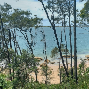 West Head Beach, Ku-ring-gai Chase National Park, with tall and thin trees in the foregrounds streaking across a large expanse of blue water coming up to a rocky and sandy shore beneath the trees, with a thin strip of coast line which is Palm Beach acting as the horizon