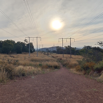 Powerline Trail, Mount Ainslie Nature Reserve, with the sun glowing through a thin blanket of clouds, with two sets of powerlines going overhead, with a well-paved path underfoot, with typical Australian grasses and gum trees all around over the ground, with Telstra Tower on the hill in the distance