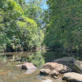 River, Royal National Park, with a calm and flat river at the bottom of the picture which reflects all that is above it, with green trees overhanging the river and the bluest sky poking through above the trees