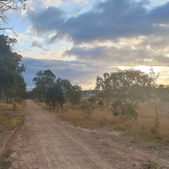 Gilded Sunset, Little Mulligan's Nature Reserve, with a straight dirt track from front and centre leading slightly left, with thick green trees on the left and yellowing grass dotted with trees on the right, with a glowing sunset to the right of the sky which causes the grey clouds it gilds to seemingly become baby blue