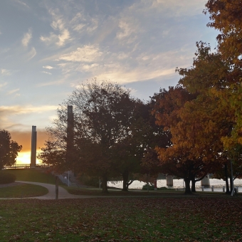Autumn Sunset, Patrick White Terrace, with a green lawn below littered with brown leaves, with green and yellow and red leaves on four trees in a line from the right, with a glowing orange sunset to the left which is behind a tall straight pylon, with wispy clouds in the baby-blue sky glowing white-gold