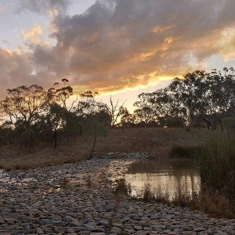 The Sunset in Ginningderra Creek, Amaroo, with greying clouds gilded with setting sun on their underside which are at the top of the image, with a slow rolling hill leading to silhouetted trees lining the horizon, with a purposely placed yet randomly assorted layer of bowling-ball-sized rocks across the river from the immediate foreground to the bottom of the hill in a shallow rock chute which chequers the reflection of the sunset above