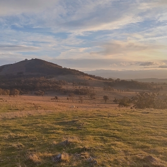 One Tree Hill Surrounded by Glow, Taylor, with green and yellowing grass leading off into the far distance unto the only object above the horizon line which is a hill that takes up the middle left side of the picture which also appears in shadow as the setting sun is behind it, with thin coulds above which has blue peeking through and the closer the clouds are to the right-side horizon the more they glow yellow, with fully-grown trees dwarfed by the scale of the landscape