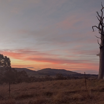 A Burning Sky, Taylor, with clouds turning from orange to burgundy to mauve which streak across a faded pastel blue sky, with two low rolling hills in the distance, with a full tree on the left of the picture and a dead tree on the right towering above the otherwise flat landscape