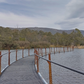 Tidbinbilla Reserve, Tidbinbilla, with a narrow steel bride crossing over flat yet lightly ripply water from immediately in front towards the right horizon, with shrubs and trees covering the opposite shoreline and almost the horizon if not for the long line of a mountain in the far distance