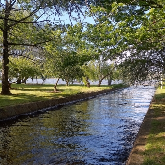 Bowen Park, Barton, with a full canal leading from the bottom left corner to the picture towards the horizon at the centre, with glowing green trees overhanging the canal which has blue sky poking through the top, with the blue of Lake Burley Griffin also peeking through behind the trees in the distance