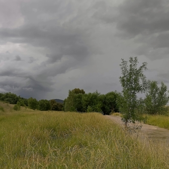 Brewing Storm, Jerrabomberra Creek, Fyshwick, with long grass across the immedate foreground and groups of trees in the middle ground which cover the horizon, with a fiercely running river cutting through the right of the picture, with the sky covered in clouds of various greys which has a dark storm brewing close to the horizon about five kilometres away