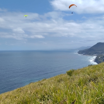 Glider's Paradise, Bald Head, Stanwell Tops, with a rolling hill covered in green ferns in the immediate foreground leading towards a rippling ocean in the middle ground and distance towards the horizon and the coastline on the right of the picture jutting out occasionally into the distance as well, with three hangligers in the middle ground who from left to right have a yellow parachute and a green rigid wing and an orange parachute