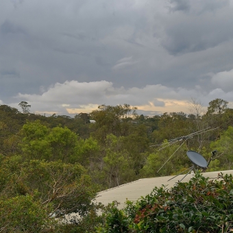 Stormy Bush, Northview Place, Mount Colah, with green trees below so thick nothing else is visible through them, with rolling grey storm clouds above, with peach-coloured clouds just poking through at the horizon