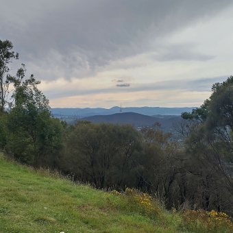 The Tiny Spire of Galambary, Mt Ainslie, with normally large Telstra Tower in the centre appearing as a pin prick, with trees in the foreground blocking most of the rest of the frame, with faded grey clouds in the sky