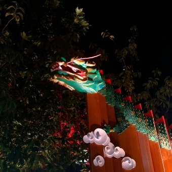 Year Of The Dragon, Lunar New Year Celebrations, Dickson, with a wooden dragon painted mostly green and hints of red and yellow which is mounted on top of red wooden columns, with leaves of a shurb tree behind it