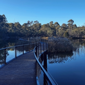 Serene Path through Tidbinbilla Nature Reserve, Tidbinbilla, with a path in the middle foreground going into the distance and to the left which crosses a crystal-clear blue lake, with wheat-looking reeds in the midground and a plethora of gum trees covering the horizon in the background