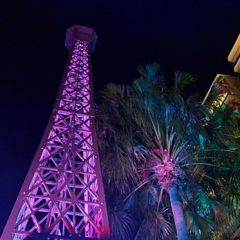 Paris in Sydney, Circular Quay, with a large miniature of the Eiffel Tower and palm tree lit in a purple light ascending into a darkened sky;