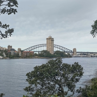 McMahon's Bridge, Balls Point Reserve, Waverton, with the McMahon's Point skyscraper in front of the Sydney Harbour Bridge which is framed on three sides by trees in the foreground