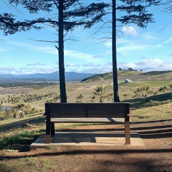 Valley Overview, with a wooden bench between two trees in the foreground overlooking a large green grassy valley and pale blue sky