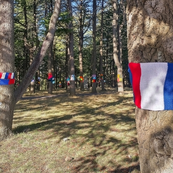 The French Forerunner, with a forest of many tree trunks covered in scarves, with the tree trunk in the foreground covered in a repeating French flag of red and white and blue stripes