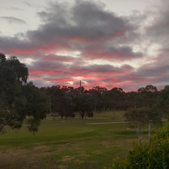 Backyard Sunset, Ngunnawal, with rippling clouds gilded red over spread-out trees and manicured grass