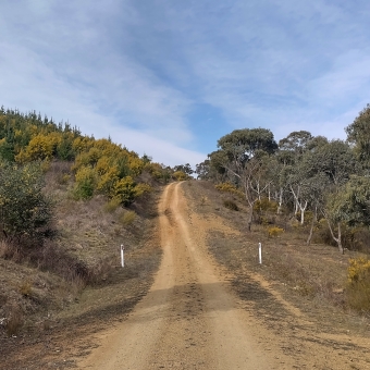 Path through Molonglo Gorge Nature Reserve, Kowen, with a dirt path carved by tyres in centre frame, with wattle-like shrubs on the left and gum trees on the right, with lightly-blanketed clouds in the sky