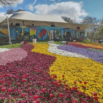 Floriade The Mural, with thick wavy strips of multicoloured tulips leading up a small hill to a colourful painted mural of the word 'Floriade' in bolded letters