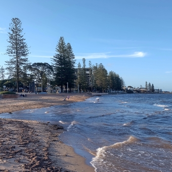 Queens Beach, Redcliffe, with low calm waves from the right along the beach into the distance, with evergreens along the beach edge on the left